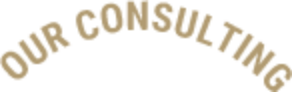 Our consulting